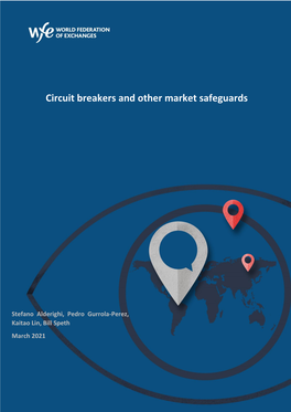 Circuit Breakers and Other Market Safeguards