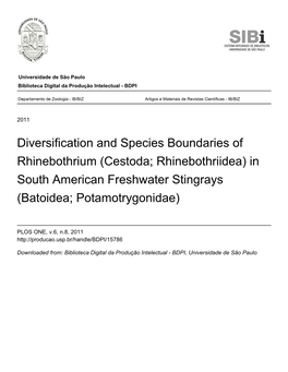 Diversification and Species Boundaries of Rhinebothrium (Cestoda; Rhinebothriidea) in South American Freshwater Stingrays (Batoidea; Potamotrygonidae)