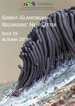 Gwent-Glamorgan Recorders' Newsletter Issue 19