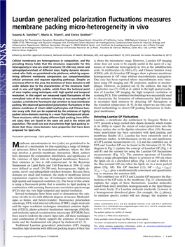 Laurdan Generalized Polarization Fluctuations Measures Membrane Packing Micro-Heterogeneity in Vivo