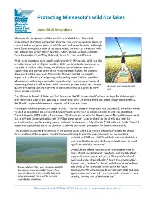 Protecting Minnesota's Wild Rice Lakes