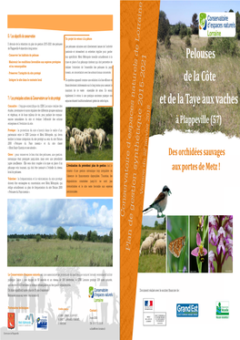Plappeville 4 Objectifs À Long Terme : Pastorale Et Nécessitent Un Entretien Régulier Pour Garder - Conserver Les Habitats De Pelouse Leur Spéciﬁcité