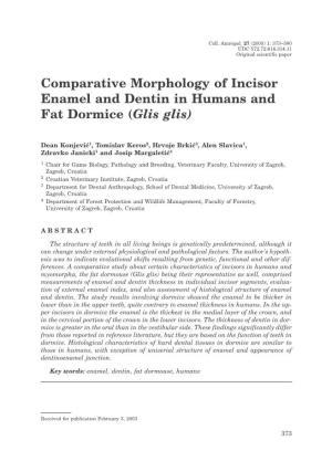 Comparative Morphology of Incisor Enamel and Dentin in Humans and Fat Dormice (Glis Glis)