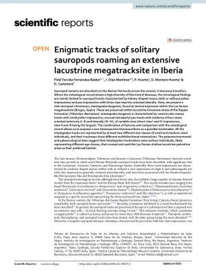 Enigmatic Tracks of Solitary Sauropods Roaming an Extensive Lacustrine Megatracksite in Iberia Fidel Torcida Fernández‑Baldor1*, I