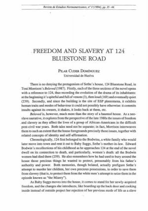 Freedom and Slavery at 124 Bluestone Road