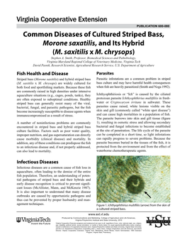 Common Diseases of Cultured Striped Bass, Morone Saxatilis, and Its Hybrid (M
