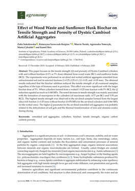 Effect of Wood Waste and Sunflower Husk Biochar on Tensile Strength and Porosity of Dystric Cambisol Artificial Aggregates
