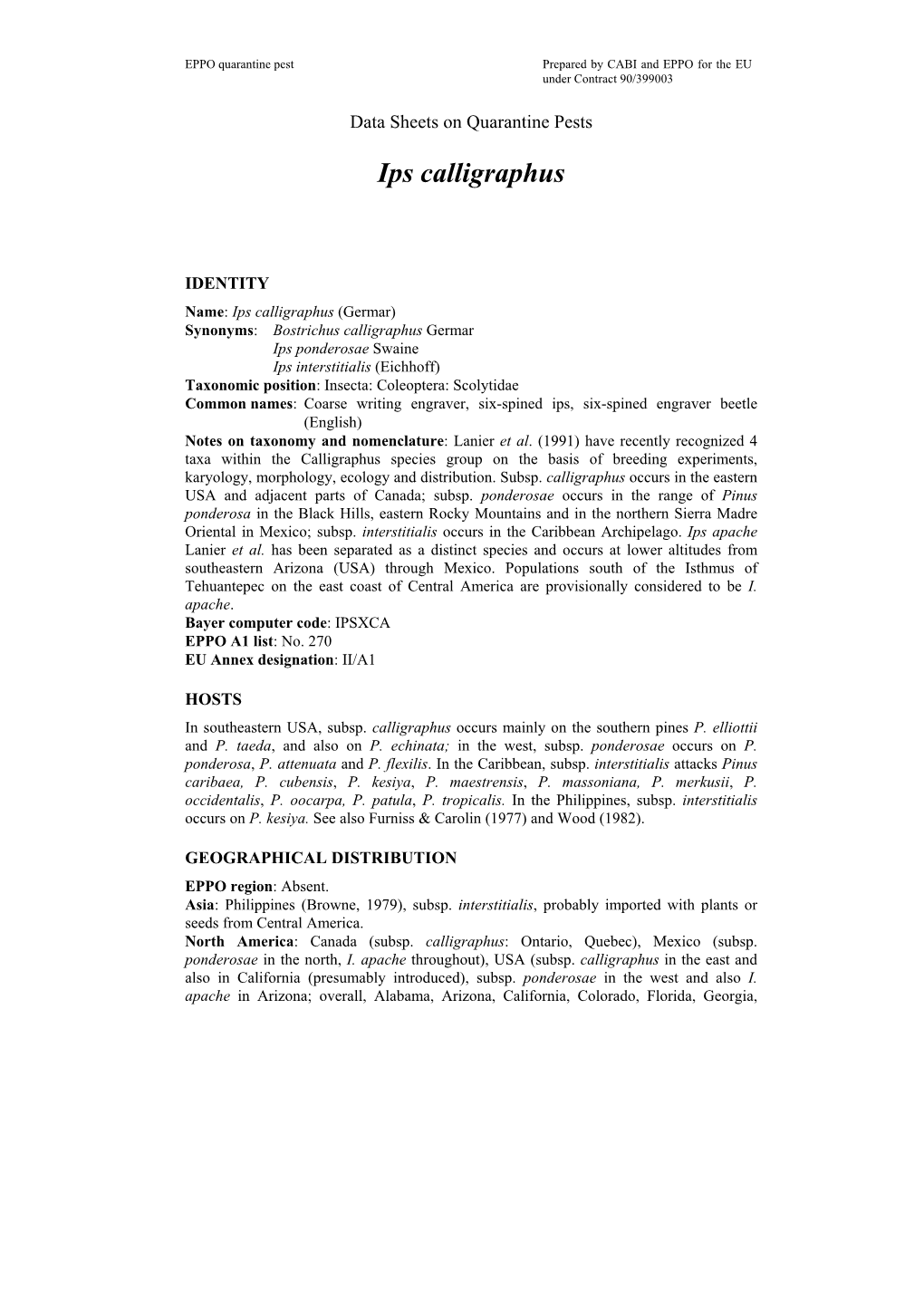 Data Sheet on Ips Calligraphus