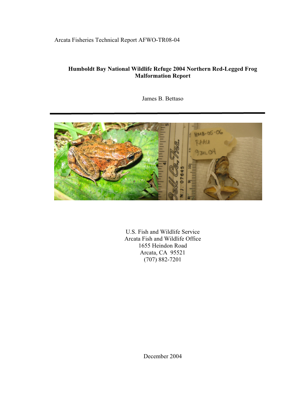 Humboldt Bay National Wildlife Refuge 2004 Northern Red-Legged Frog Malformation Report