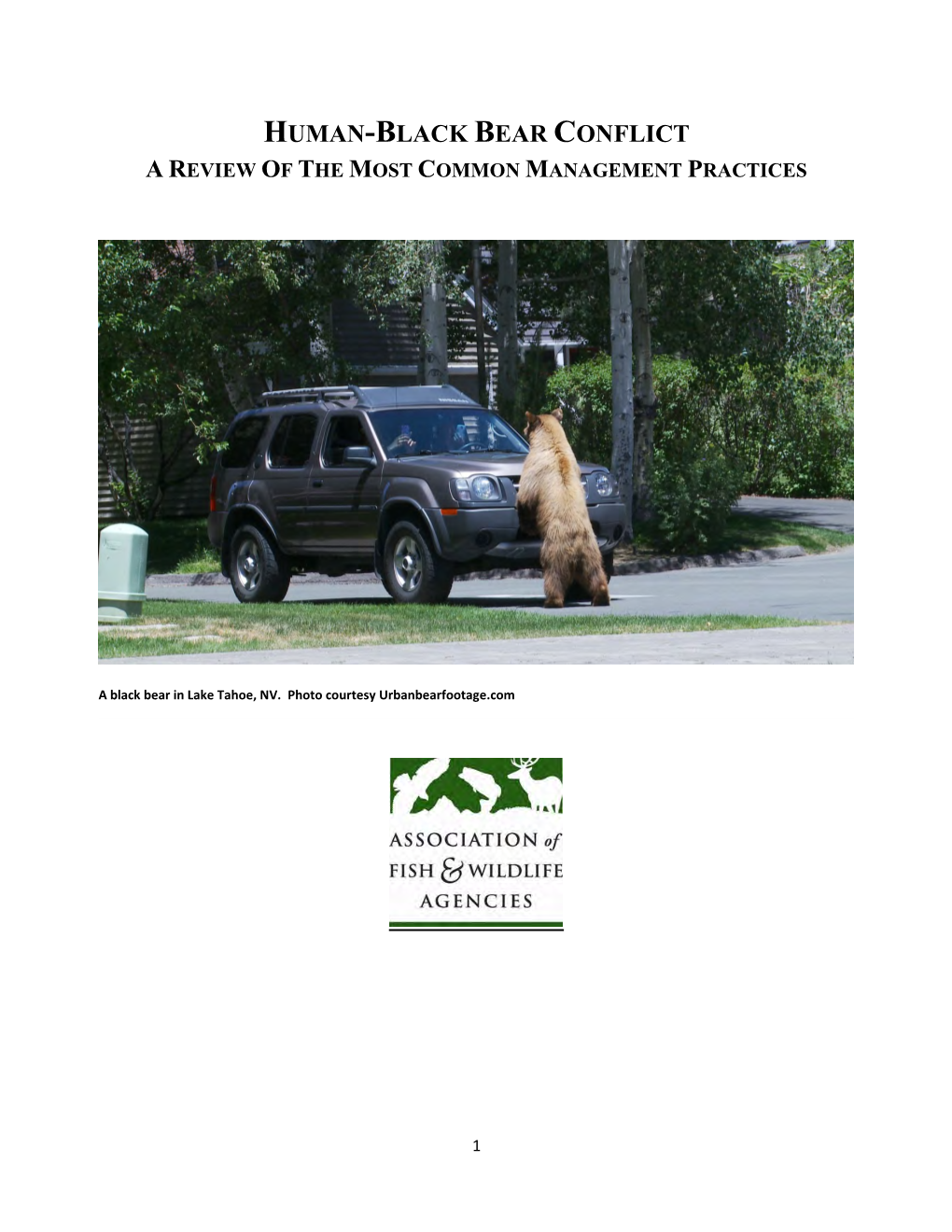 Human-Black Bear Conflict a Review of the Most Common Management Practices