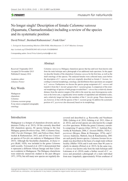 No Longer Single! Description of Female Calumma Vatosoa (Squamata, Chamaeleonidae) Including a Review of the Species and Its Systematic Position
