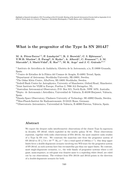What Is the Progenitor of the Type Ia SN 2014J?