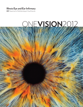 One Vision2012