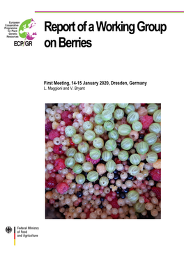 Report of a Working Group on Berries