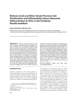 Retinoic Acid and Nitric Oxide Promote Cell Proliferation and Differentially Induce Neuronal Differentiation in Vitro in the Cnidarian Renilla Koellikeri