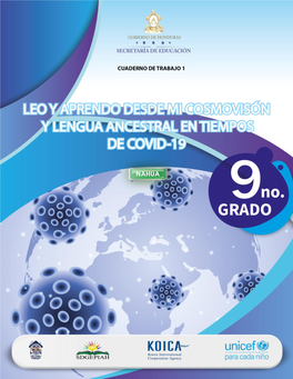 Los Pueblos Indígenas En Las Naciones Unidas