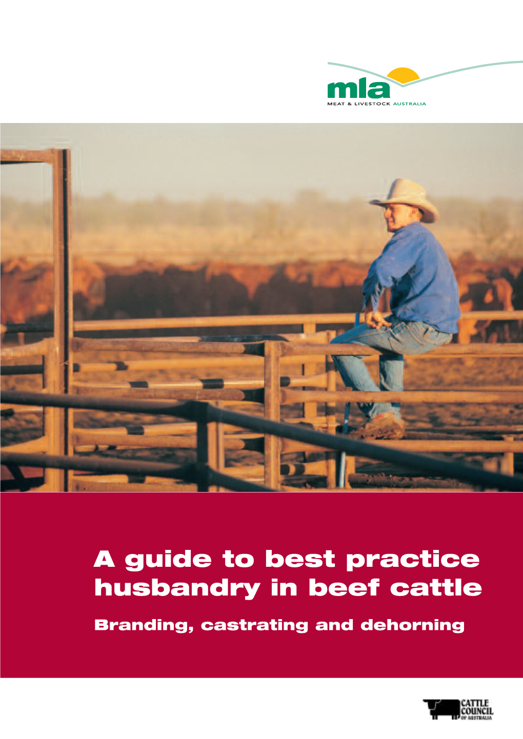 a-guide-to-best-practice-husbandry-in-beef-cattle-docslib