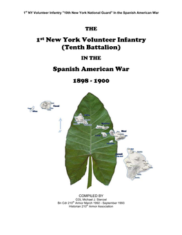 1St New York Volunteer Infantry (Tenth Battalion) Spanish American