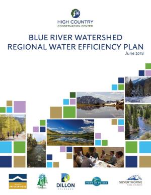 Blue River Watershed Water Efficiency Plan