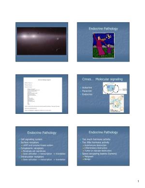 Endocrine Pathology Crines… Molecular Signaling Endocrine Pathology Endocrine Pathology