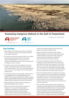 Assessing Mangrove Dieback in the Gulf of Carpentaria (Wrap-Up