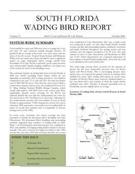 South Florida Wading Bird Report 2006