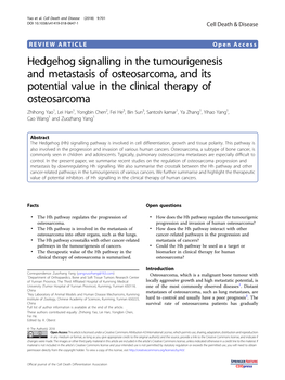 Hedgehog Signalling in the Tumourigenesis and Metastasis of Osteosarcoma, and Its Potential Value in the Clinical Therapy Of