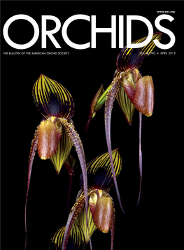 The Bulletin of the American Orchid Society Vol. 82 No. 4