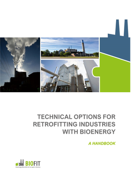 Technical Options for Retrofitting Industries with Bioenergy