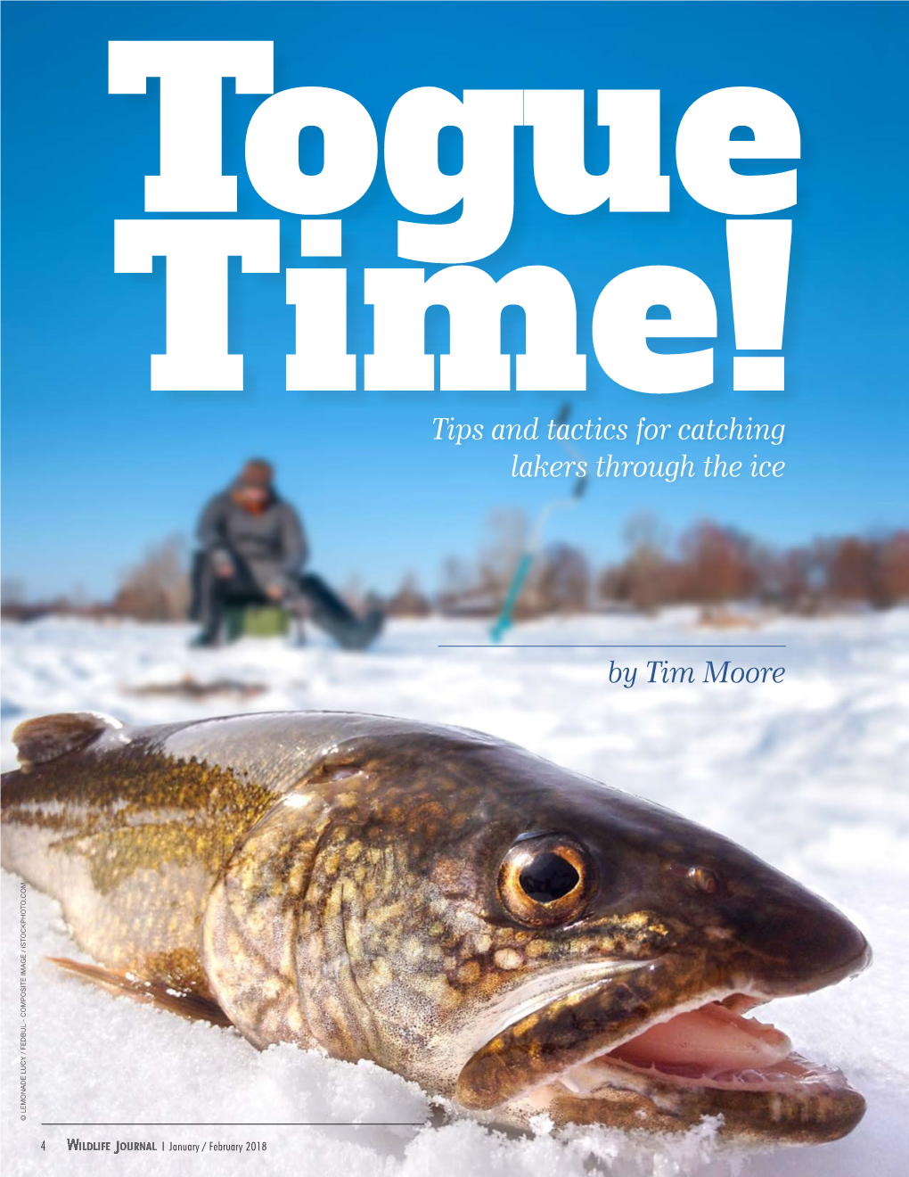 Tips and Tactics for Catching Lakers Through the Ice by Tim Moore