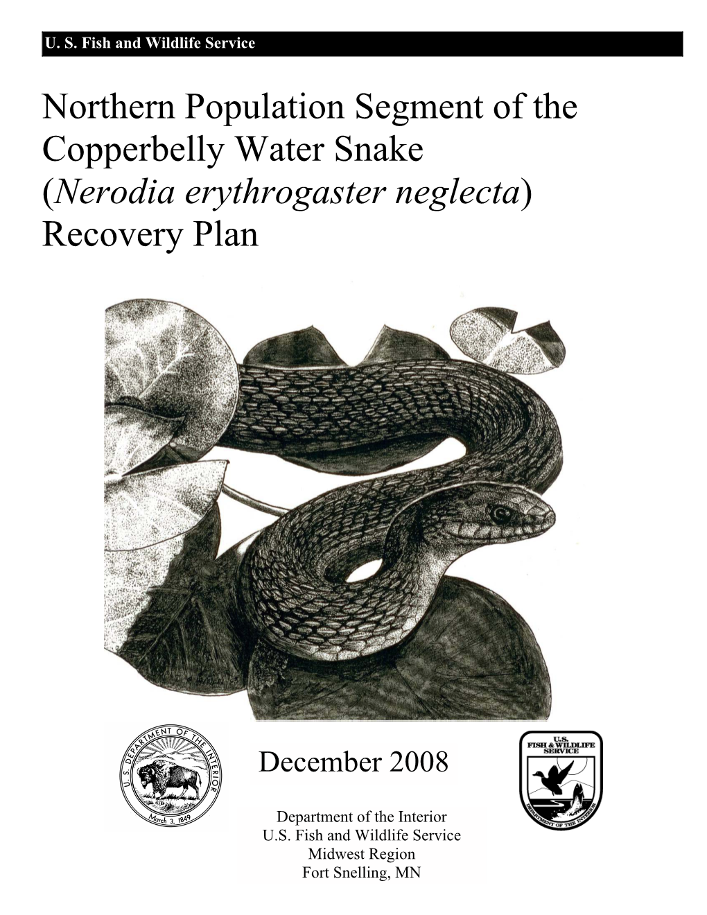 Northern Population Segment of the Copperbelly Water Snake (Nerodia Erythrogaster Neglecta) Recovery Plan