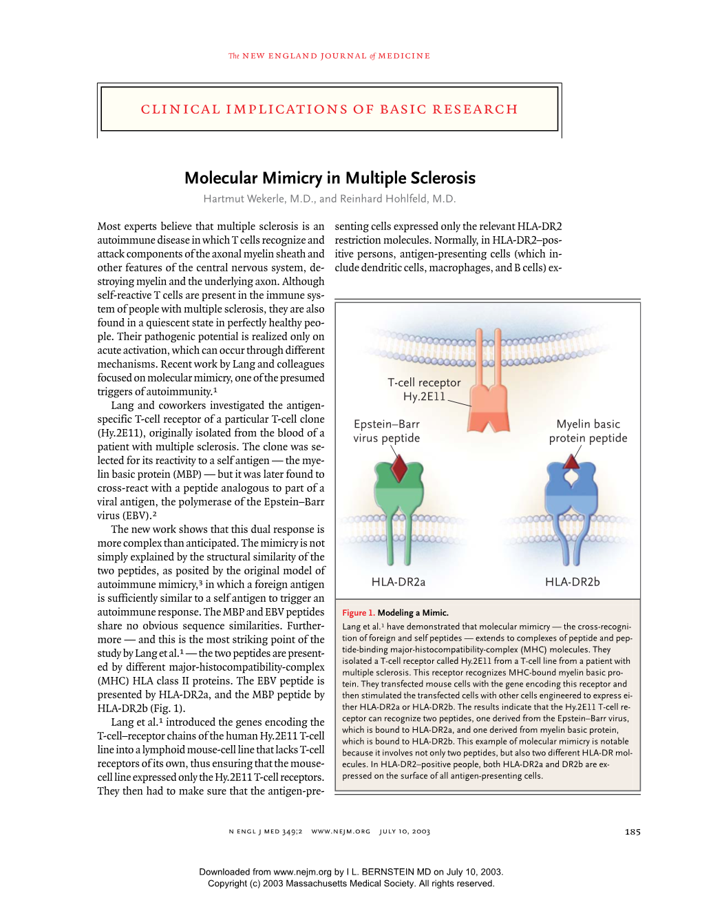 030710 Molecular Mimicry in Multiple Sclerosis