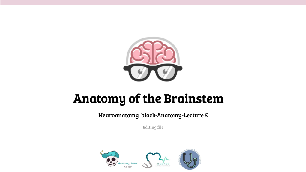 Anatomy of the Brainstem