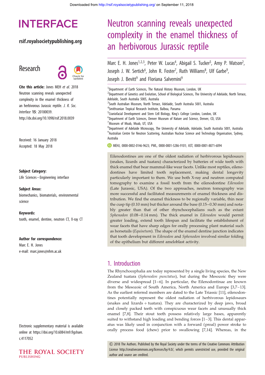 Neutron Scanning Reveals Unexpected Complexity in the Enamel Thickness of Rsif.Royalsocietypublishing.Org an Herbivorous Jurassic Reptile