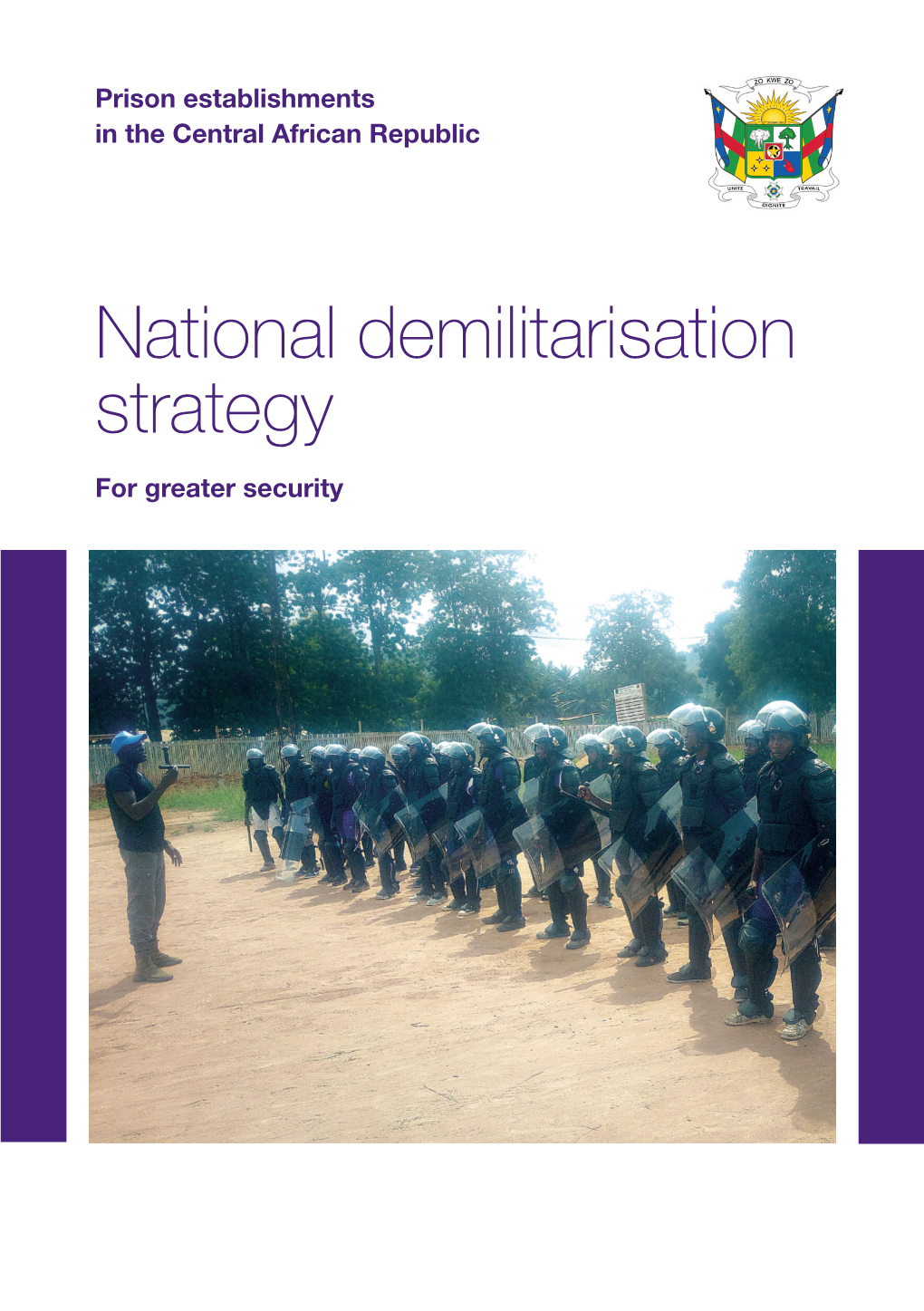National Demilitarisation Strategy