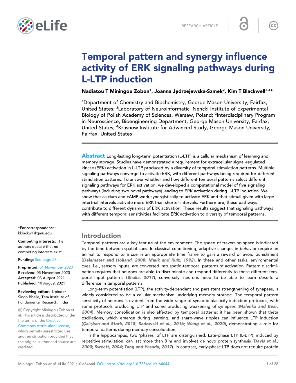 Temporal Pattern and Synergy Influence Activity of ERK Signaling Pathways During L-LTP Induction
