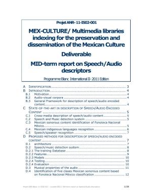 MID-Term Report on Speech/Audio Descriptors Programme Blanc International II- 2011 Edition