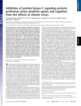 Inhibition of Protein Kinase C Signaling Protects Prefrontal Cortex Dendritic