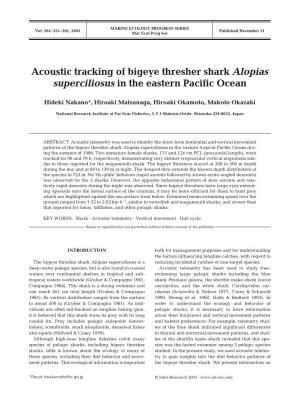 Acoustic Tracking of Bigeye Thresher Shark Alopias Superciliosus in the Eastern Pacific Ocean