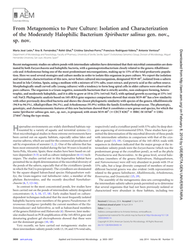 From Metagenomics to Pure Culture: Isolation and Characterization of the Moderately Halophilic Bacterium Spiribacter Salinus Gen