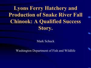 Snake River Fall Chinook Brood Origin