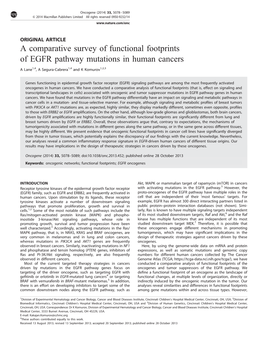 A Comparative Survey of Functional Footprints of EGFR Pathway Mutations in Human Cancers