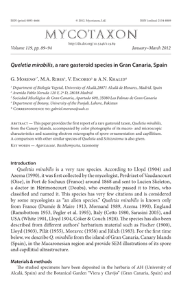 A Rare Gasteroid Species in Gran Canaria, Spain