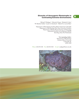 Diversity of Anoxygenic Phototrophs in Contrasting Extreme Environments