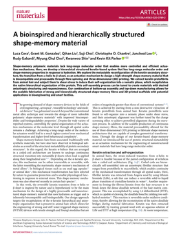 A Bioinspired and Hierarchically Structured Shape-Memory Material