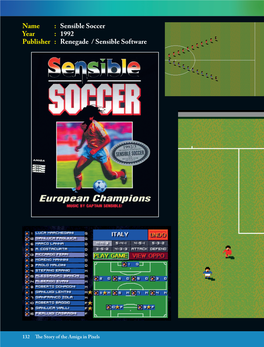 What Can Be Said About Sensible Soccer Other