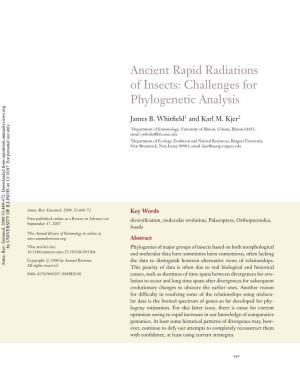 Ancient Rapid Radiations of Insects: Challenges for Phylogenetic Analysis