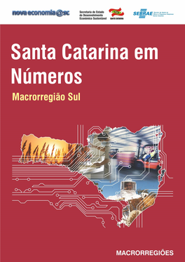 Santa Catarina Em Números Macrorregião Sul