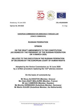 Russian Federation Opinion on the Draft