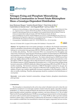 Nitrogen Fixing and Phosphate Mineralizing Bacterial Communities in Sweet Potato Rhizosphere Show a Genotype-Dependent Distribution